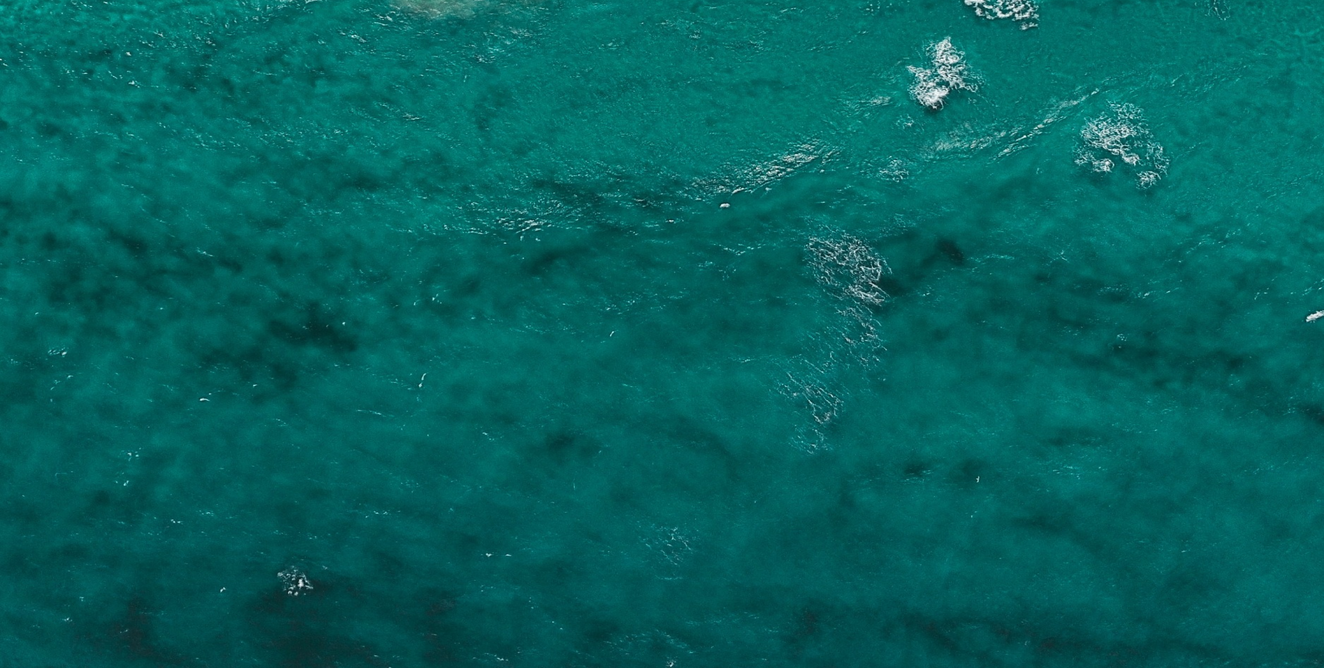 Socotra ocean
